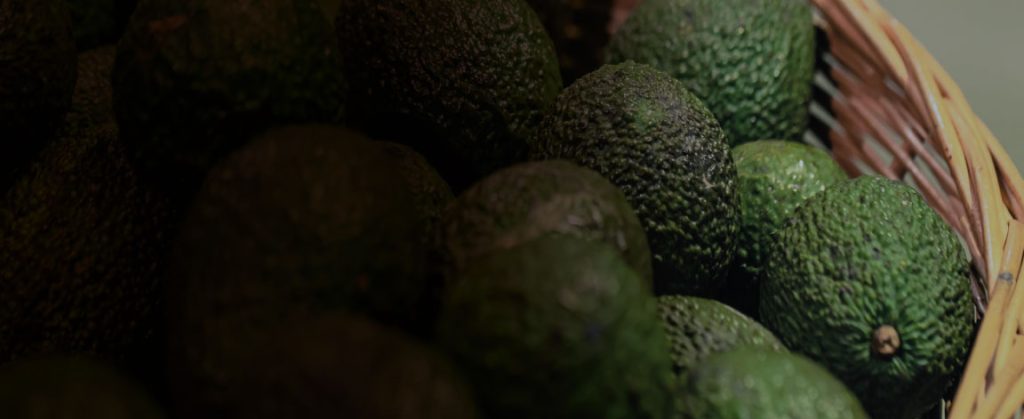 Manejo de cultivo de aguacate