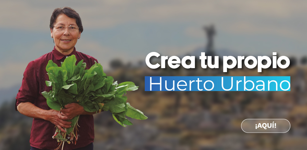 Crea tu propio huerto urbano