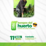 Control de enfermedades-hongos del huerto