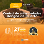 Control de enfermedades-hongos del huerto