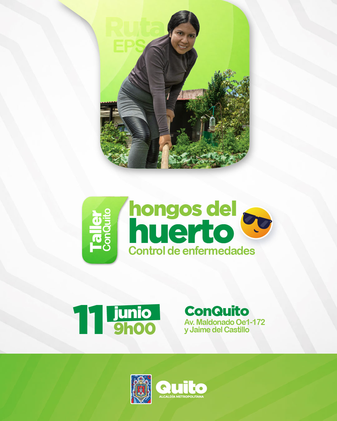 Control de enfermedades-hongos del huerto