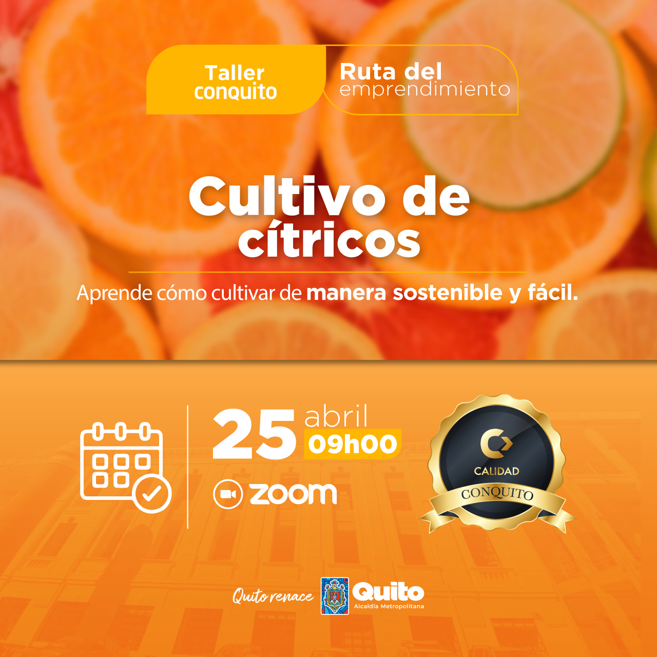 Manejo del cultivo de cítricos