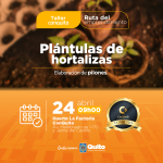 Elaboración de pilones - plántulas de hortalizas