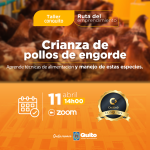 Crianza de pollos de engorde