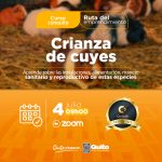 Crianza de cuyes