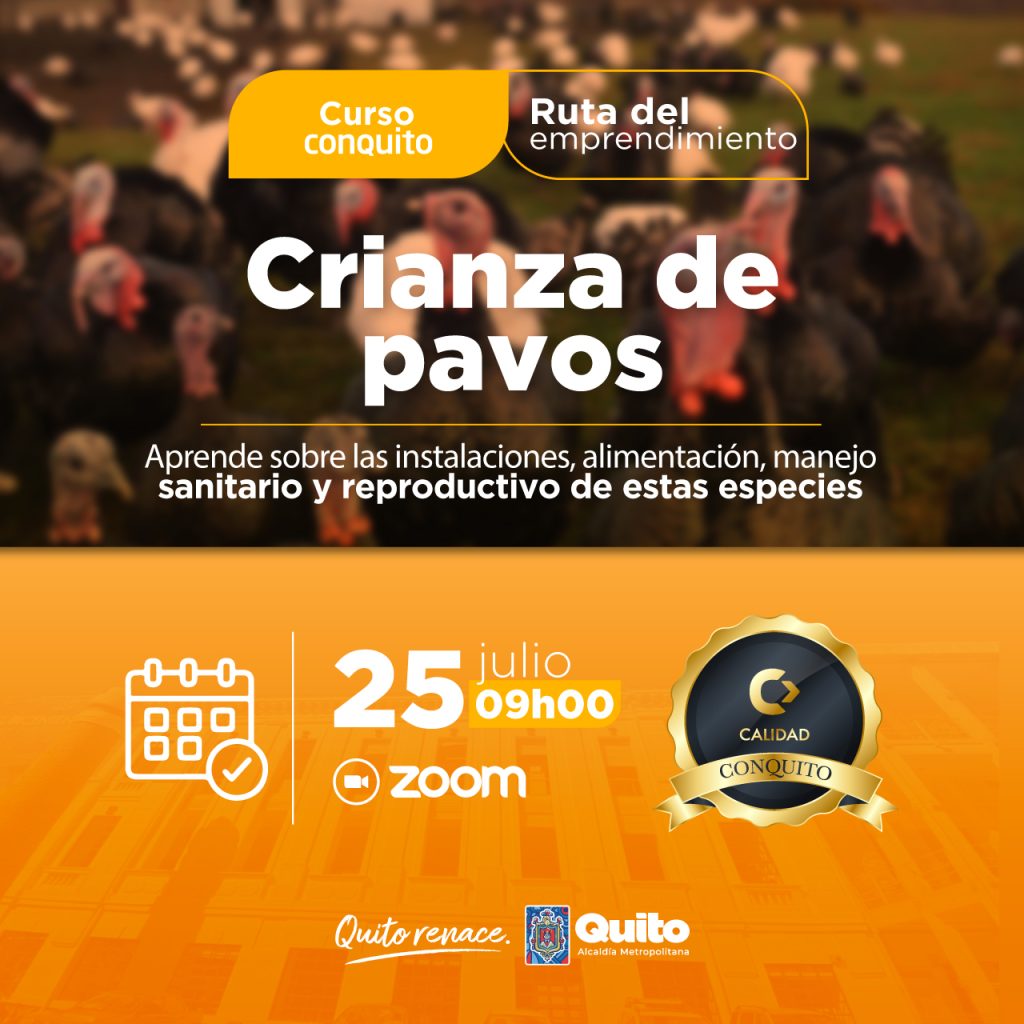 Crianza de pavos