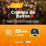 Crianza de pavos