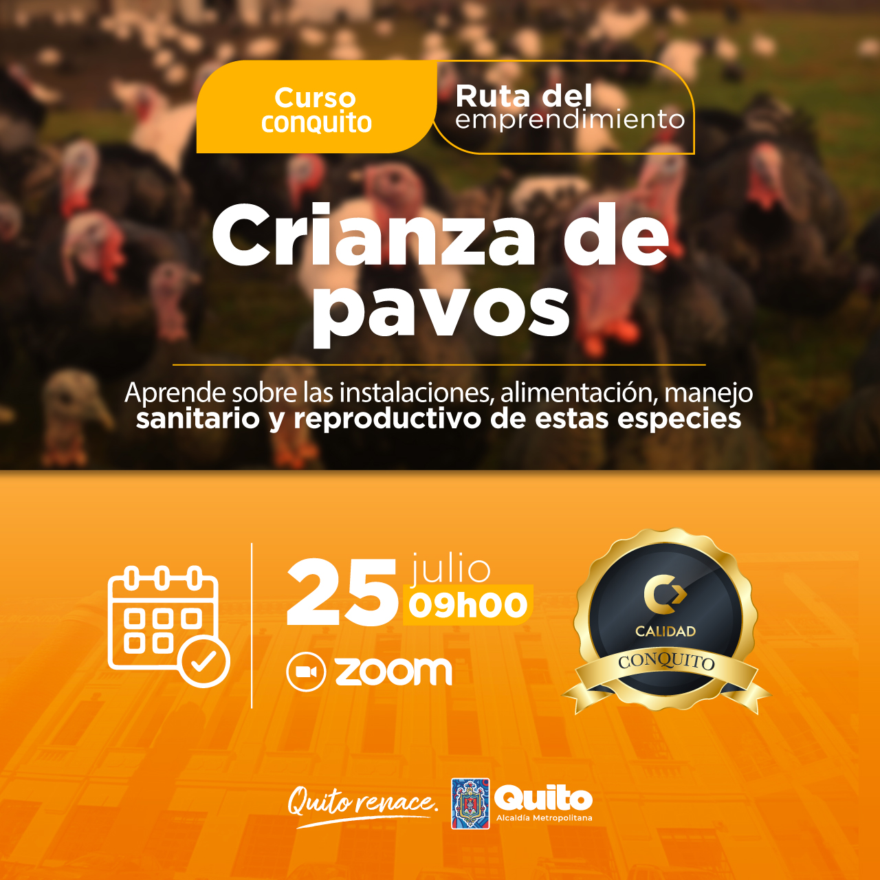 Crianza de pavos