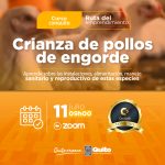 Crianza de pollos de engorde