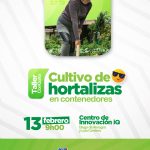 Cultivo de hortalizas en contenedores