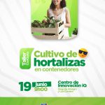 Cultivo de hortalizas en contenedores