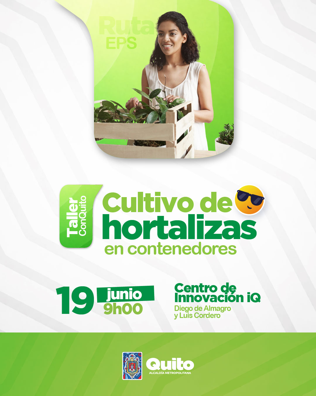 Cultivo de hortalizas en contenedores