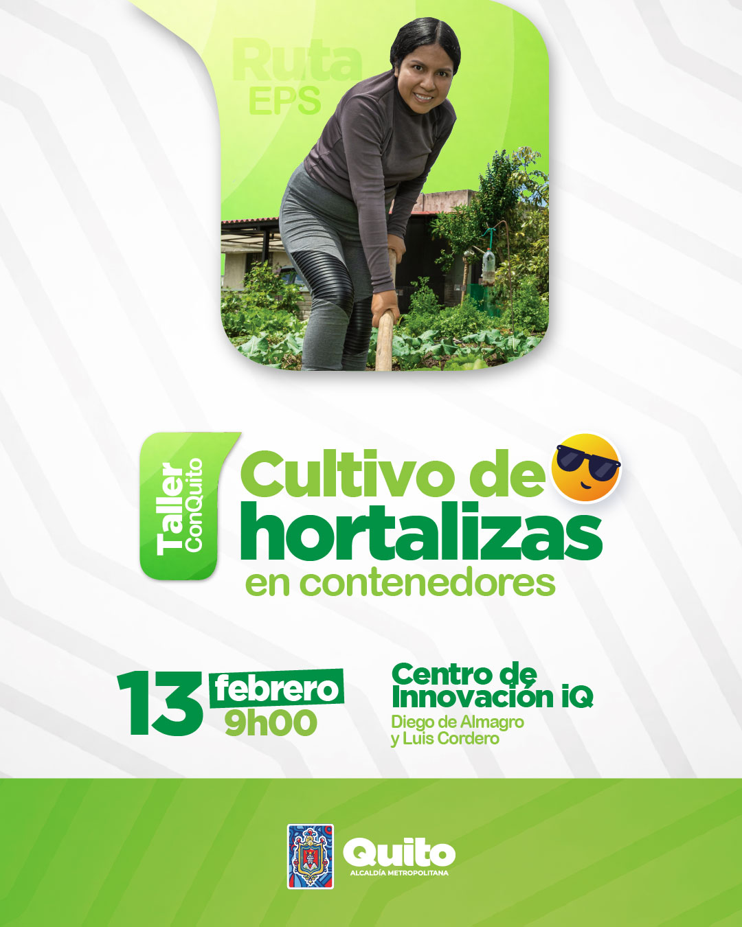 Cultivo de hortalizas en contenedores