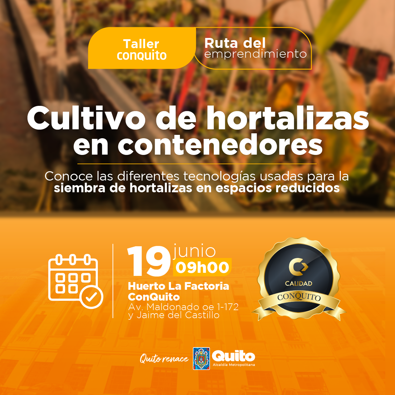 Cultivo de hortalizas en contenedores