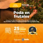 Poda en frutales