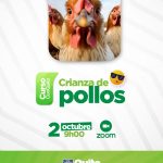 Crianza de pollos