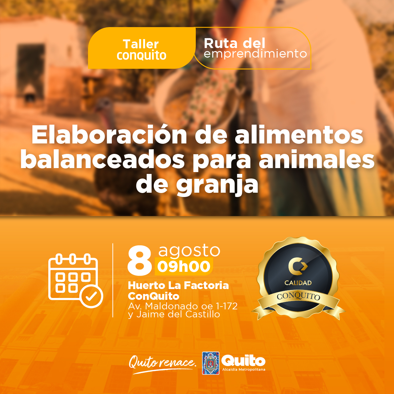 Elaboración de alimentos balanceados para animales de granja