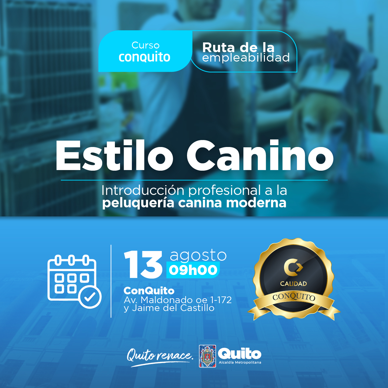 Estilo Canino: Introducción profesional a la peluquería canina moderna