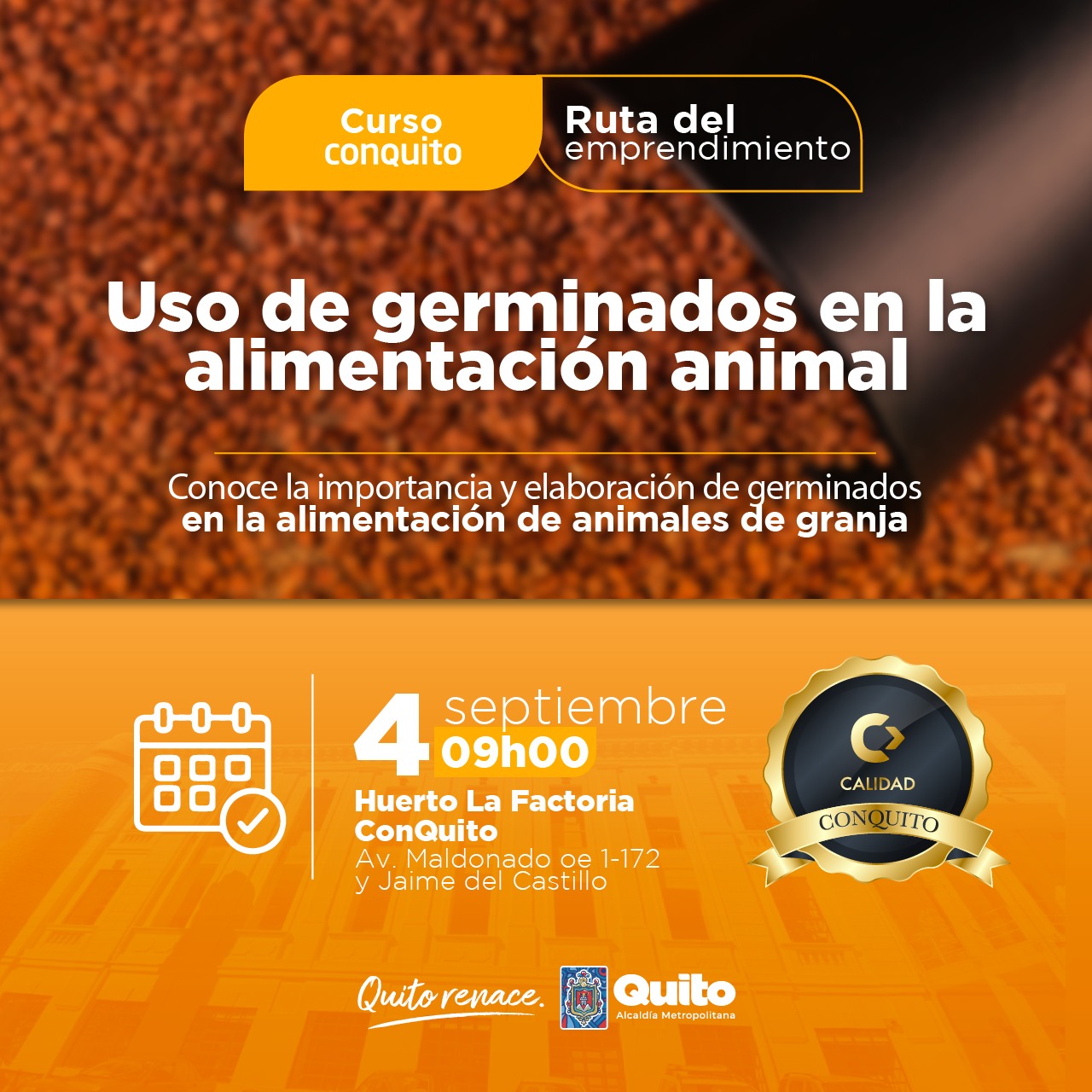 Uso de germinados en la alimentación animal