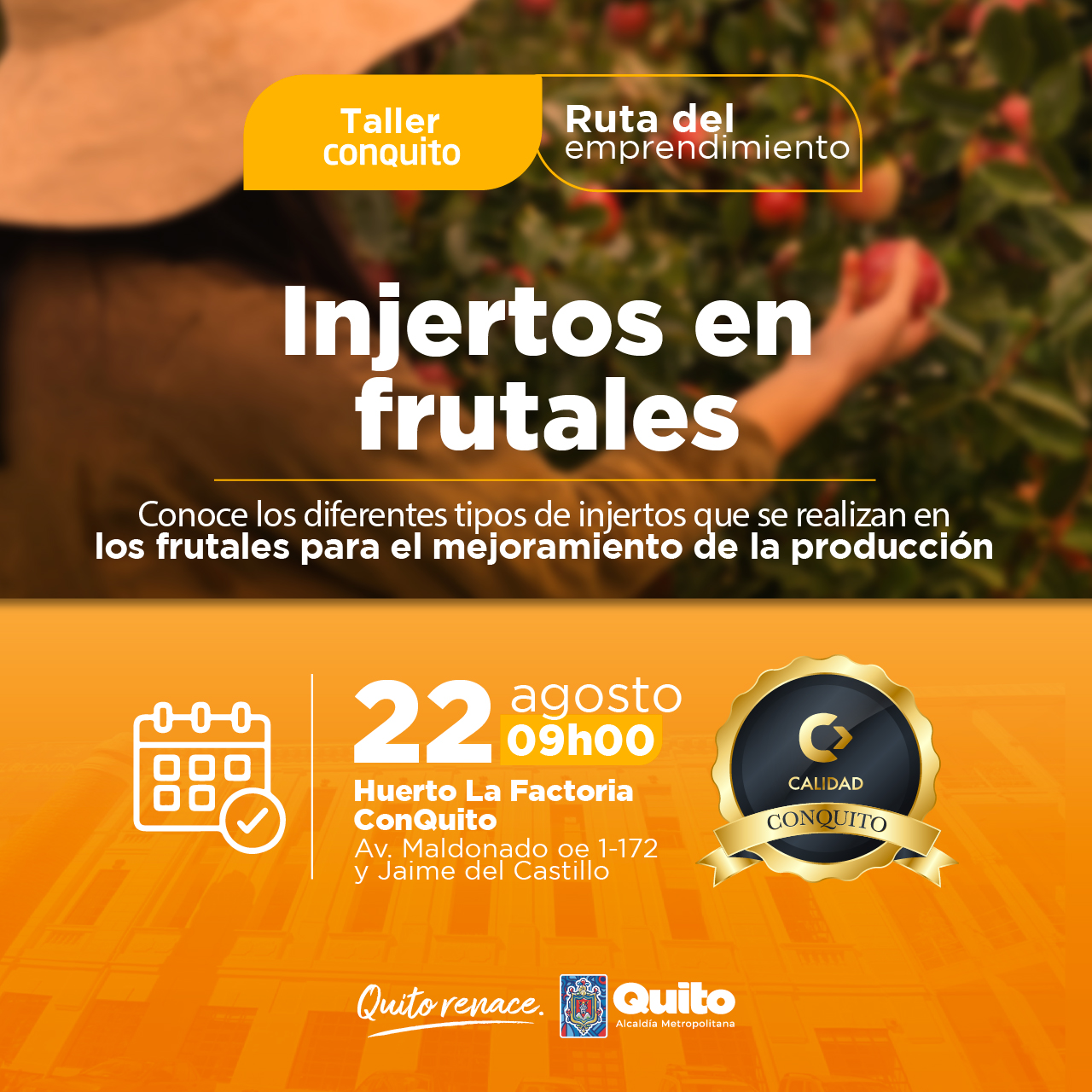 Injertos en frutales