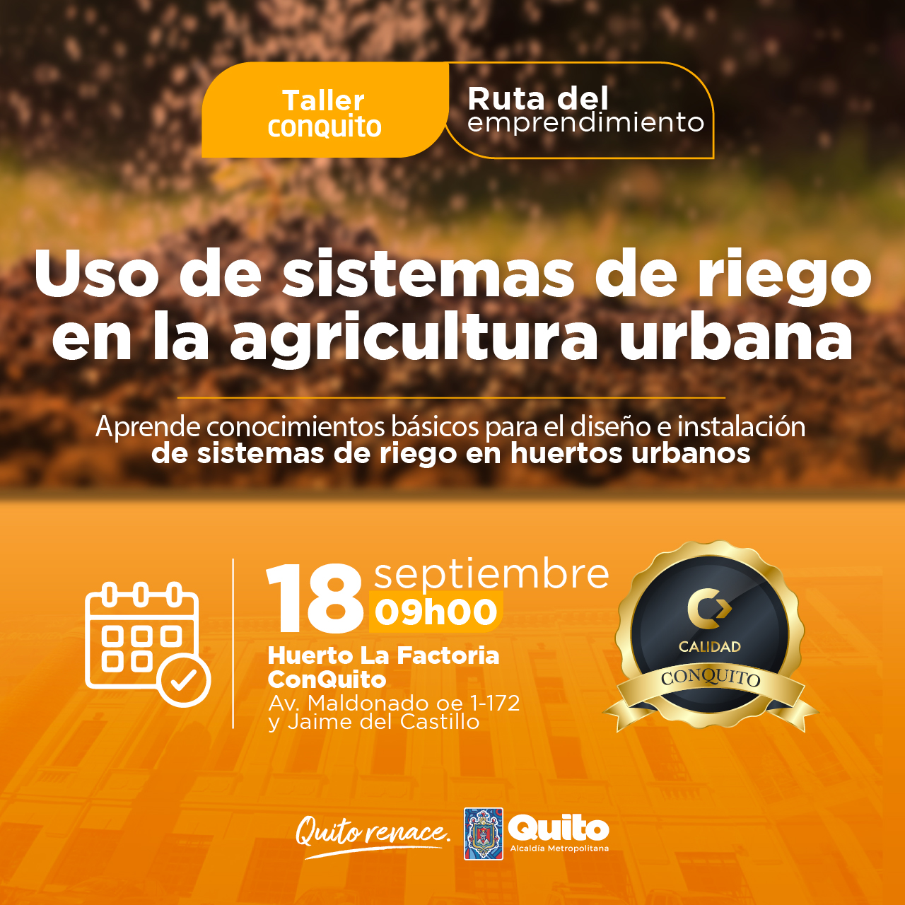 Uso de sistemas de riego en la agricultura urbana