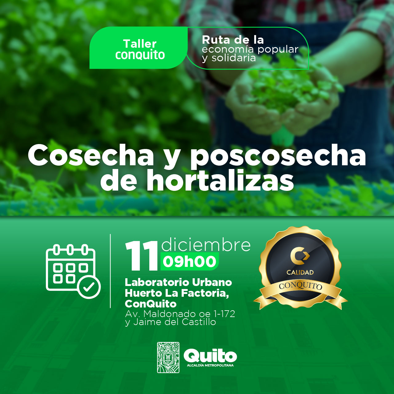 Cosecha y poscosecha de hortalizas