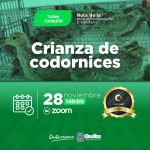 Crianza de codornices