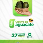 Manejo del cultivo de Aguacate