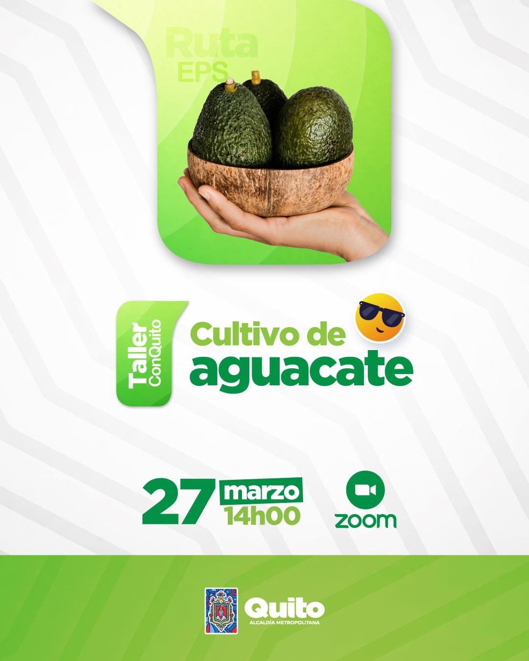 Manejo del cultivo de Aguacate