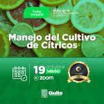 Manejo del cultivo de cítricos