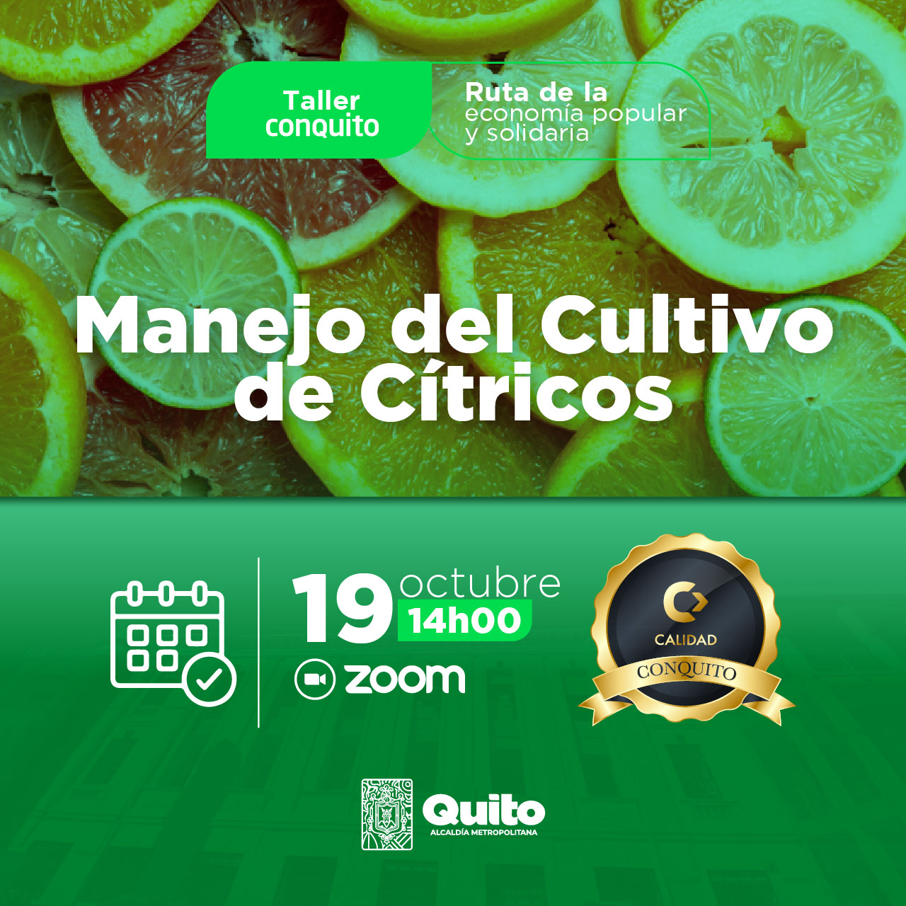 Manejo del cultivo de cítricos