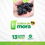 Manejo del cultivo de Mora