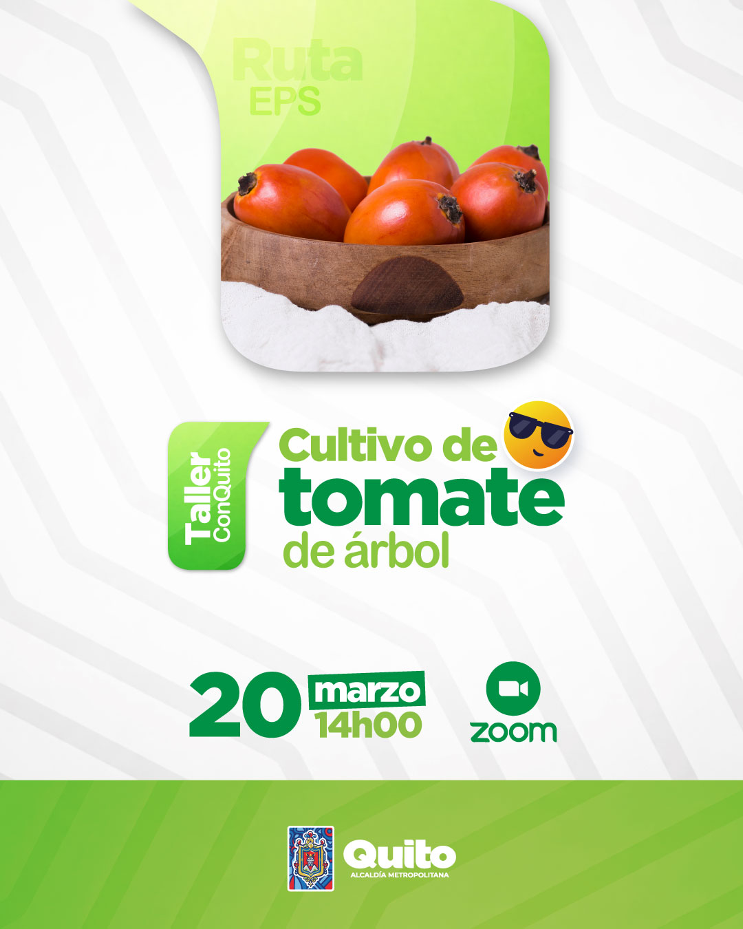 Manejo del cultivo de tomate de árbol