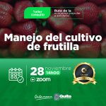 Manejo del cultivo de frutilla
