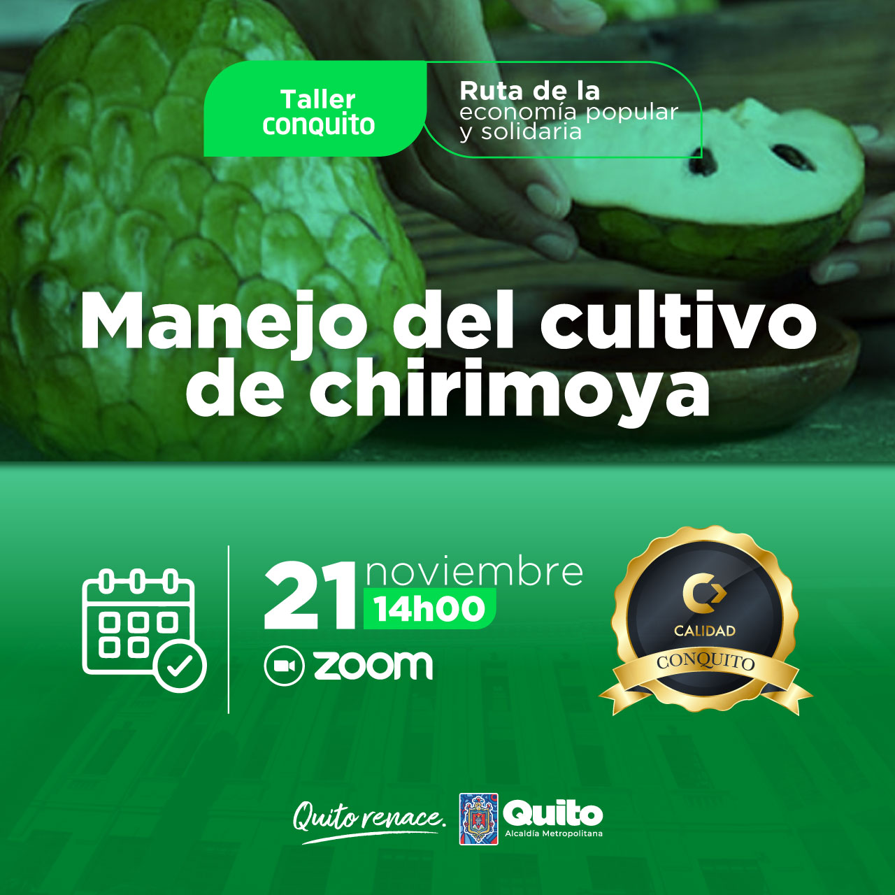 Manejo del cultivo de chirimoya
