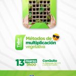 Métodos de multiplicación vegetativa.