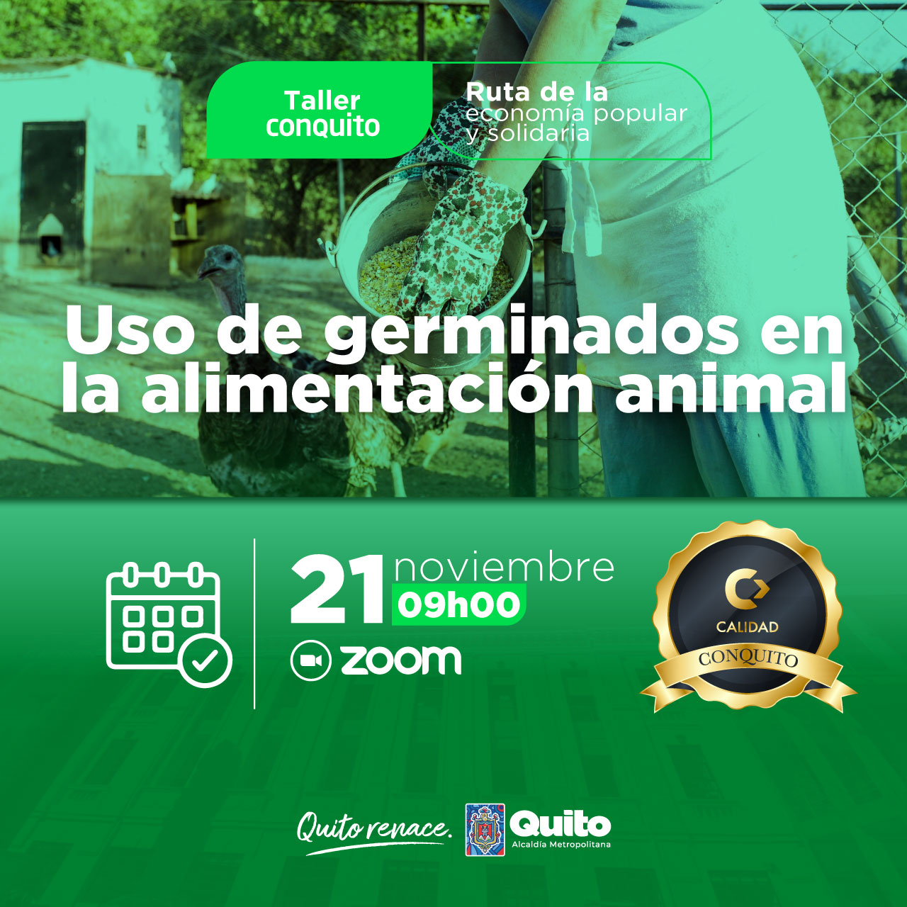 Uso de germinados en la alimentación animal
