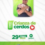 Crianza de cerdos