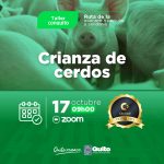 Crianza de cerdos