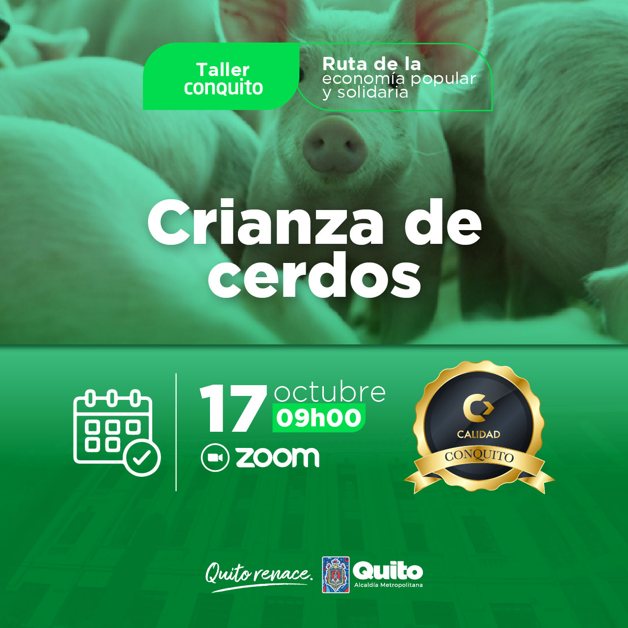 Crianza de cerdos