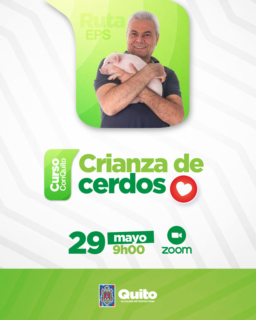 Crianza de cerdos
