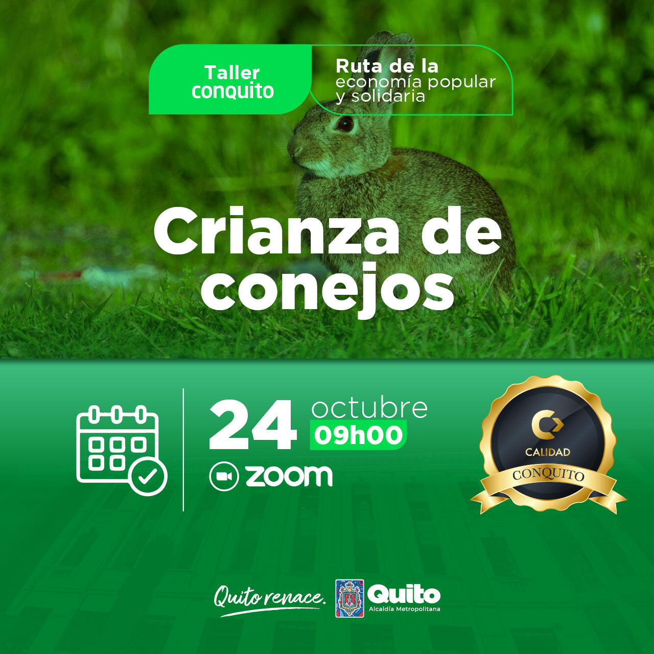 Crianza de conejos