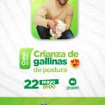 Crianza de gallinas de postura