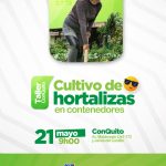 Cultivo de hortalizas en contenedores