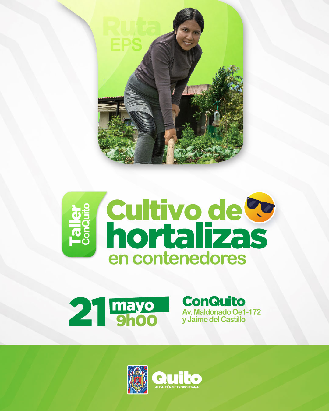 Cultivo de hortalizas en contenedores