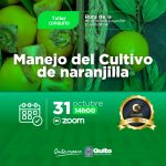 Manejo del cultivo de naranjilla