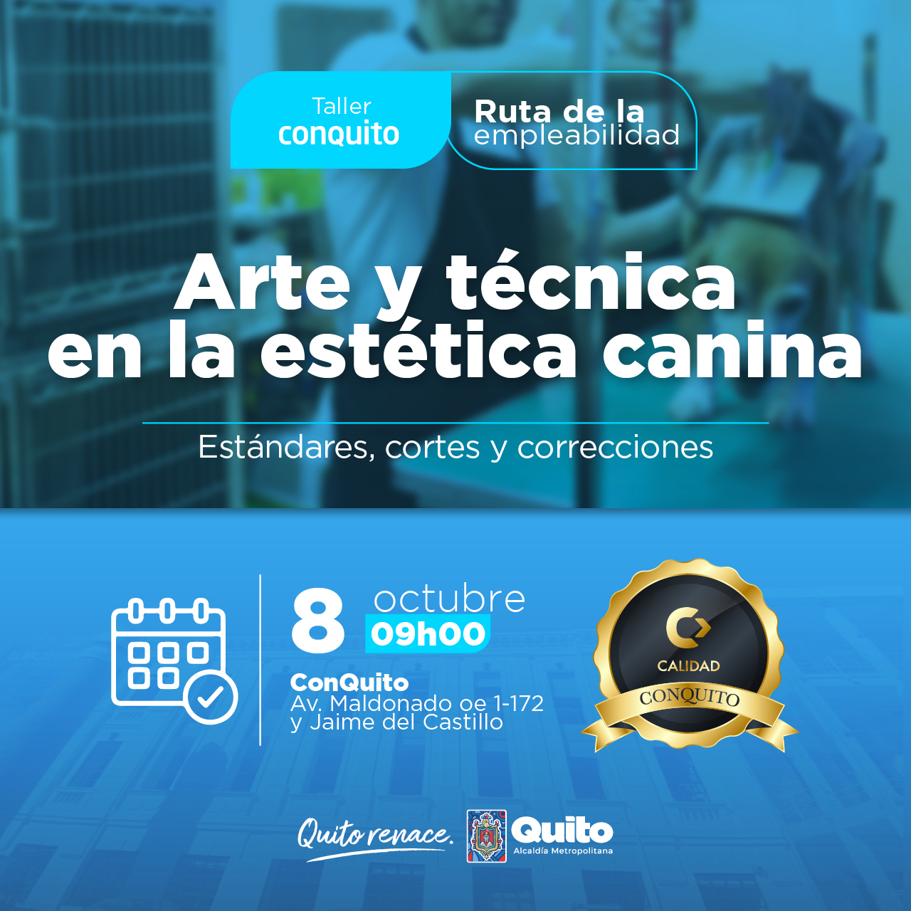 Arte y técnica en la estética canina: estándares, cortes y correcciones