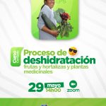 Procesos de deshidratación de frutas y hortalizas