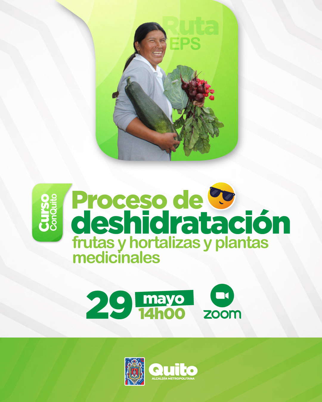 Procesos de deshidratación de frutas y hortalizas