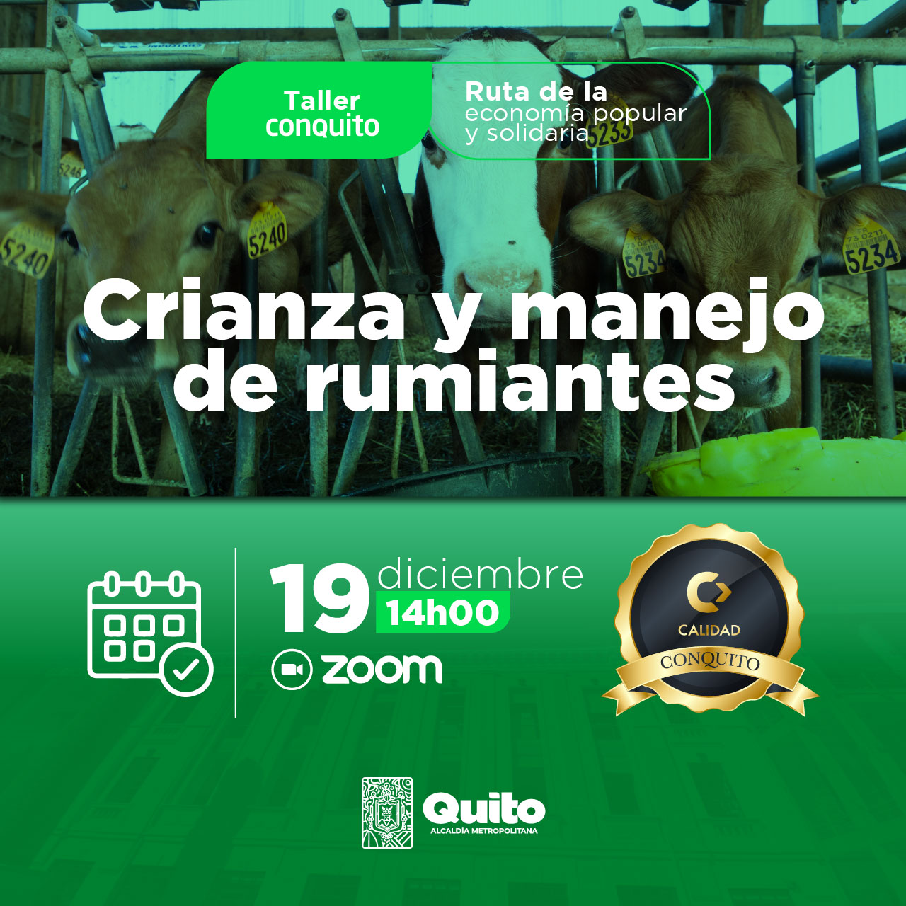 Crianza y manejo de rumiantes